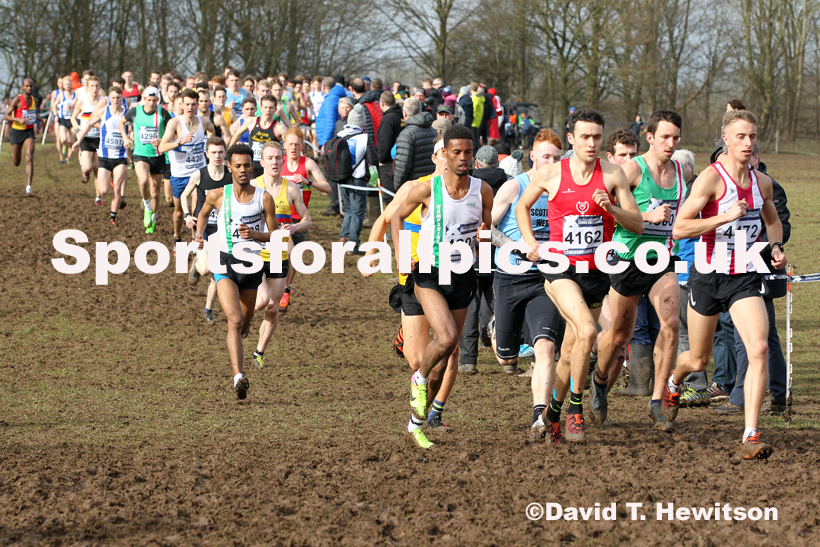 Senior men, 2020 British Athletics Inter Counties Cross Country Champs., Prestwold Hall, Loughborough. Photo: David T. Hewitson/Sports for All Pics